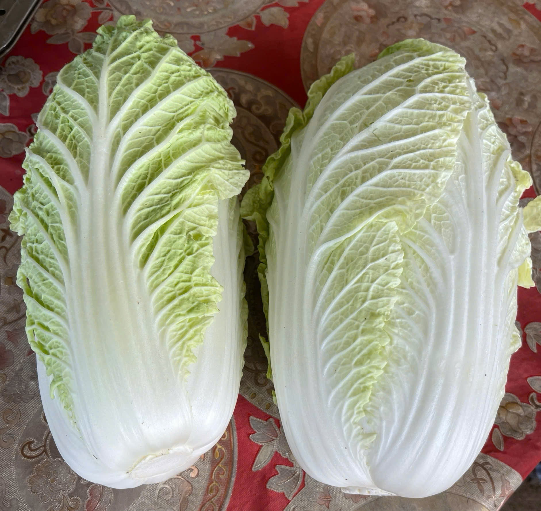 cải thảo 2