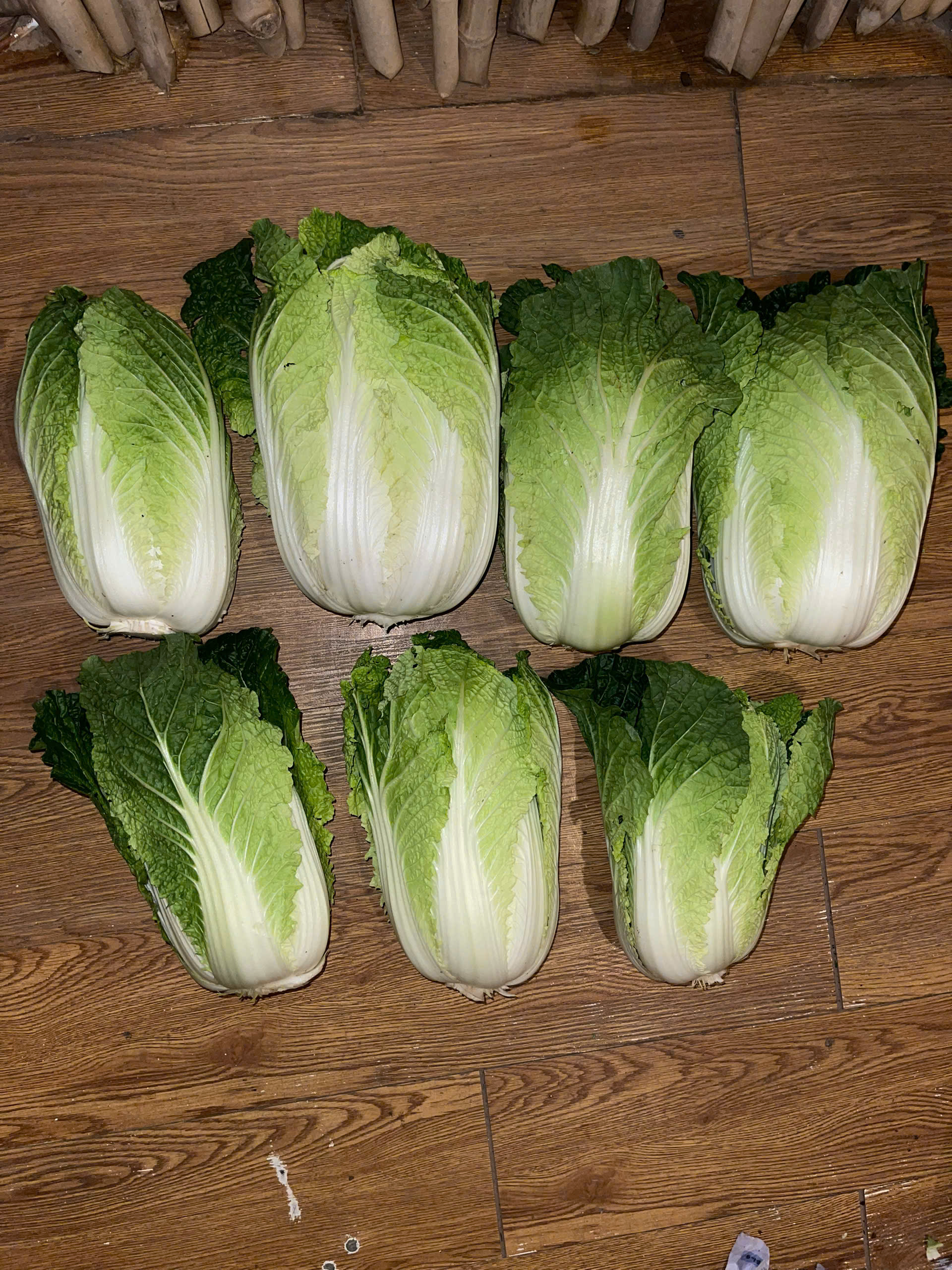 cải thảo3