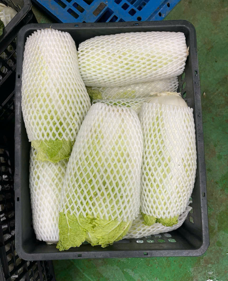 cải thảo8